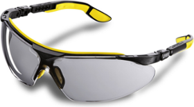 Защитные очки Karcher (6.025-483) 