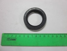 Сальник задний ДАЭ-255 [208701]