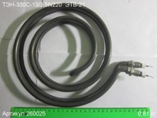 ТЭН-300С-13/3.5N220  ЭТВ-21 [260025]
