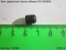 Винт держателя пилки ЛЭ-750/80 [232346]
