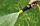Насадка Мини (1/15) Karcher 2.645-053 Насадка Мини (1/15) Karcher 2.645-053