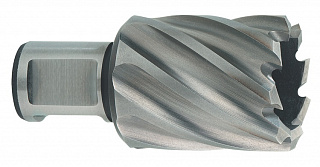 Фреза HSS 28x 30 мм, хвостовик Weldon 19 мм для Mag 32/50 626516000 Фреза HSS 28x 30 мм, хвостовик Weldon 19 мм для Mag 32/50 626516000