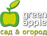 GREEN APPLE GREEN APPLE